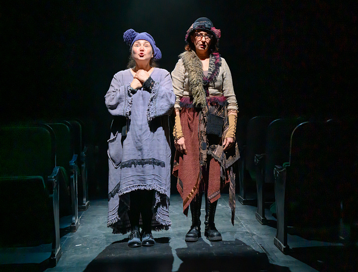 Две дамочки в сторону севера